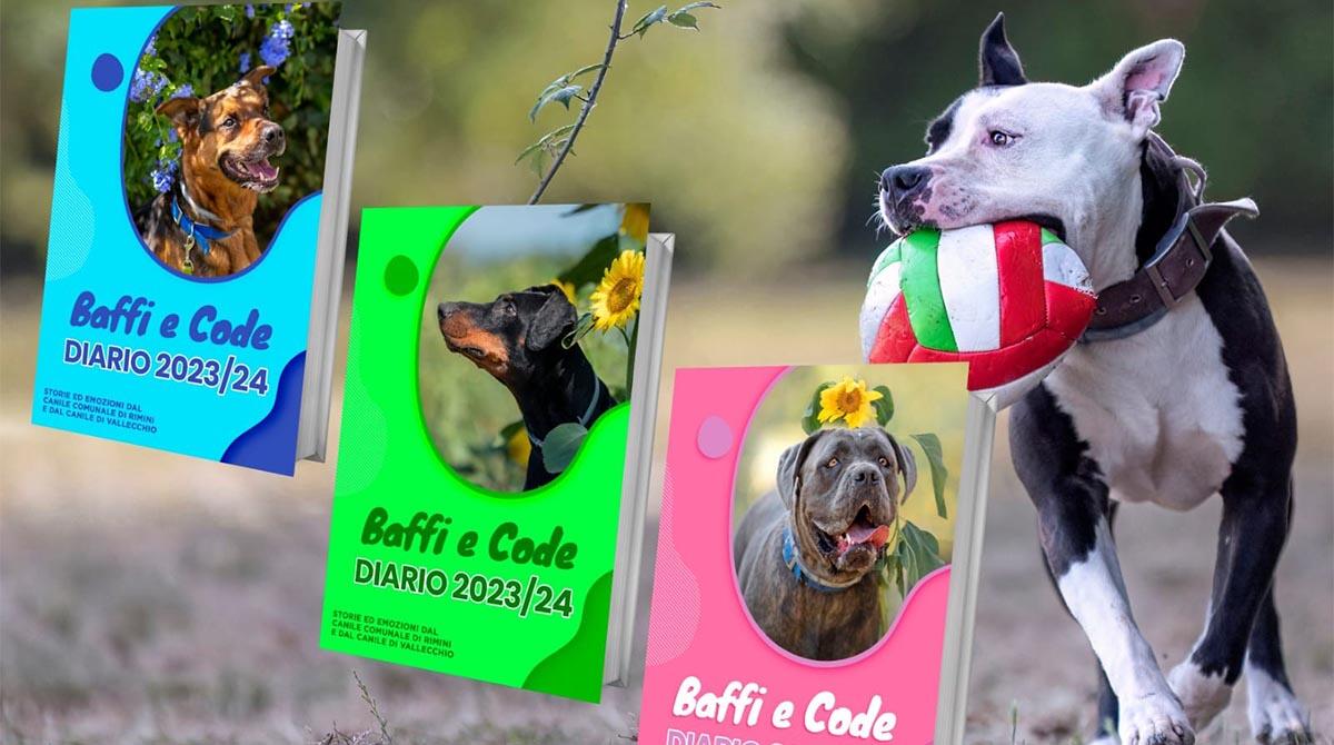 Canile di Rimini, torna il diario scolastico "Baffi e code": l'iniziativa benefica - Tornano i diari del Canile di Rimini