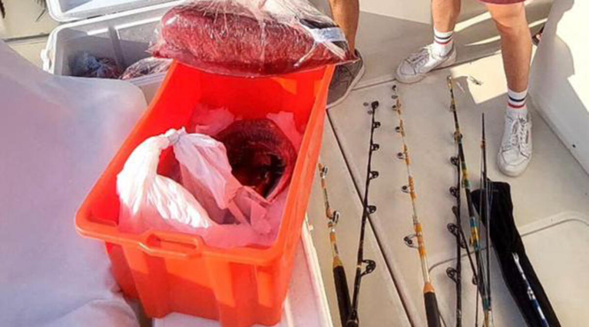 Tonno Rosso da 50 kg sequestrato a Riccione: colpo contro la pesca abusiva - Sequestro di un tonno rosso a Porto Verde di Misano Adriatico