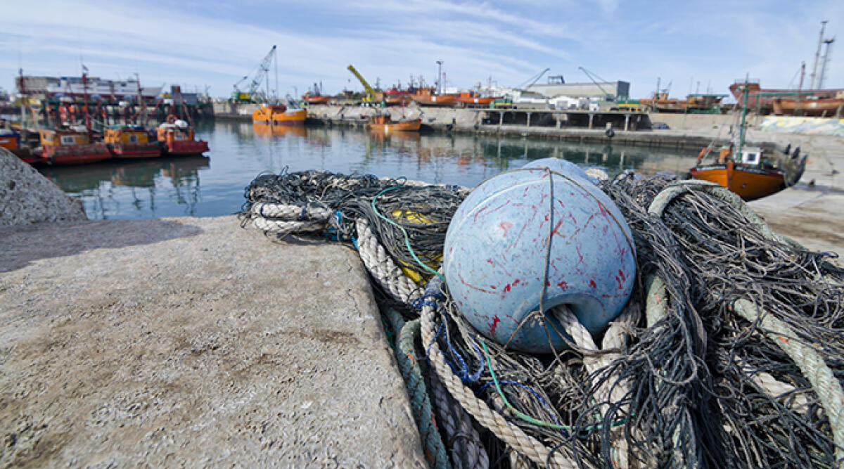 Gualmini e Rossi in tour tra Rimini e Riccione per ascoltare le preoccupazioni dei pescatori - Foto di repertorio