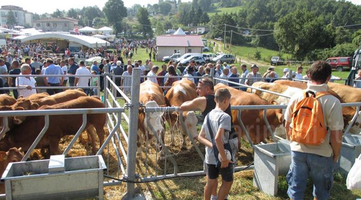 La Fiera di Pugliano, evento imperdibile della tradizione che richiama anche tanti giovani: si parte il 4 settembre - Archivio