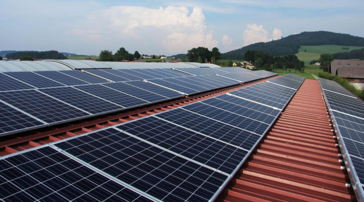 Transizione energetica, Comune di Rimini elabora due progetti e li candida a bando regionale - Pannelli solari REPERTORIO