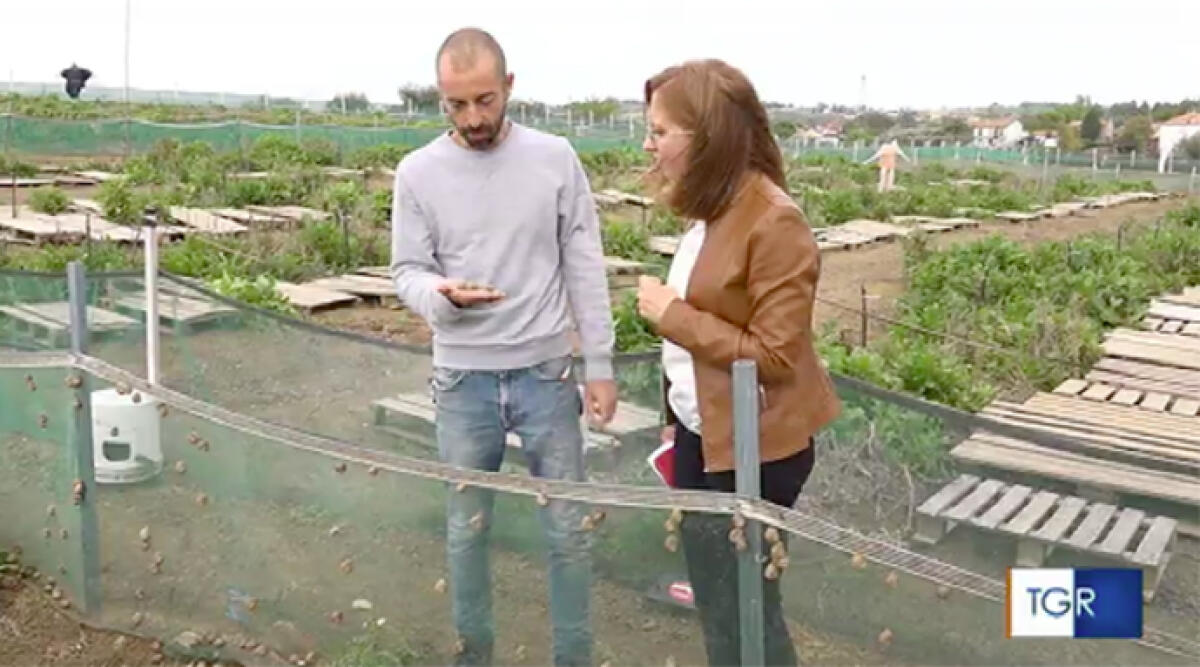 Cosmesi con bava di lumaca: azienda di Rimini tra le nomination de Le Fonti Awards - Daniele Bartocci, fondatore di Demetra Rimini