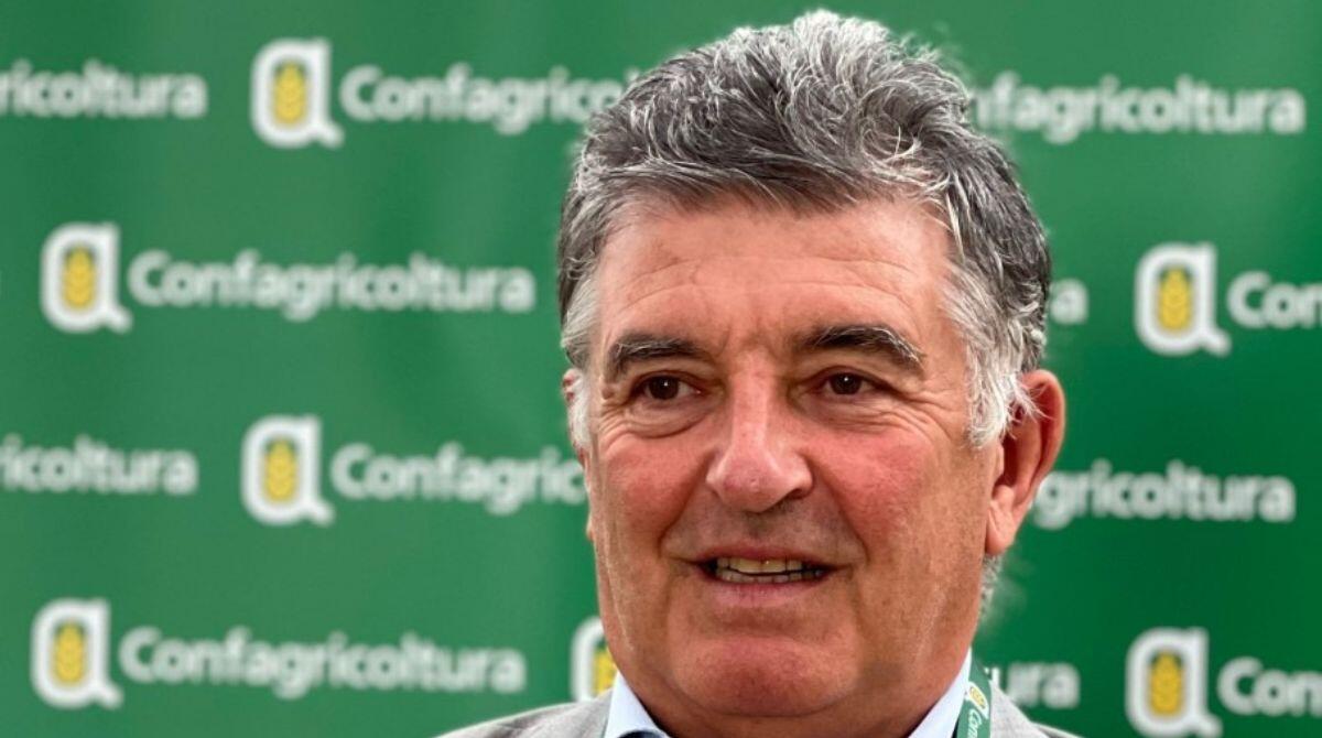 Alluvione, Confagricoltura Rimini: "bene la Camera di Commercio, fondamentale assicurare liquidità" - Carlo Carli