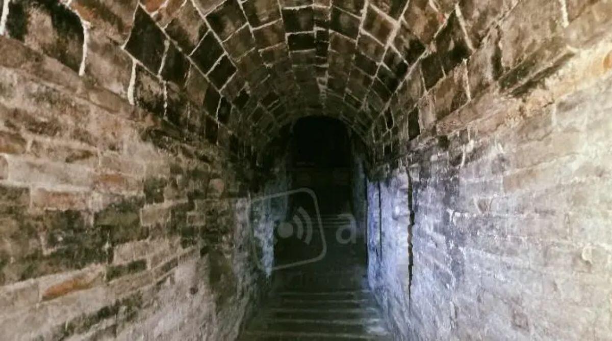 Giornate del Patrimonio a Cattolica una passeggiata nella Regina "preistorica" - Ingresso Galleria Paparoni