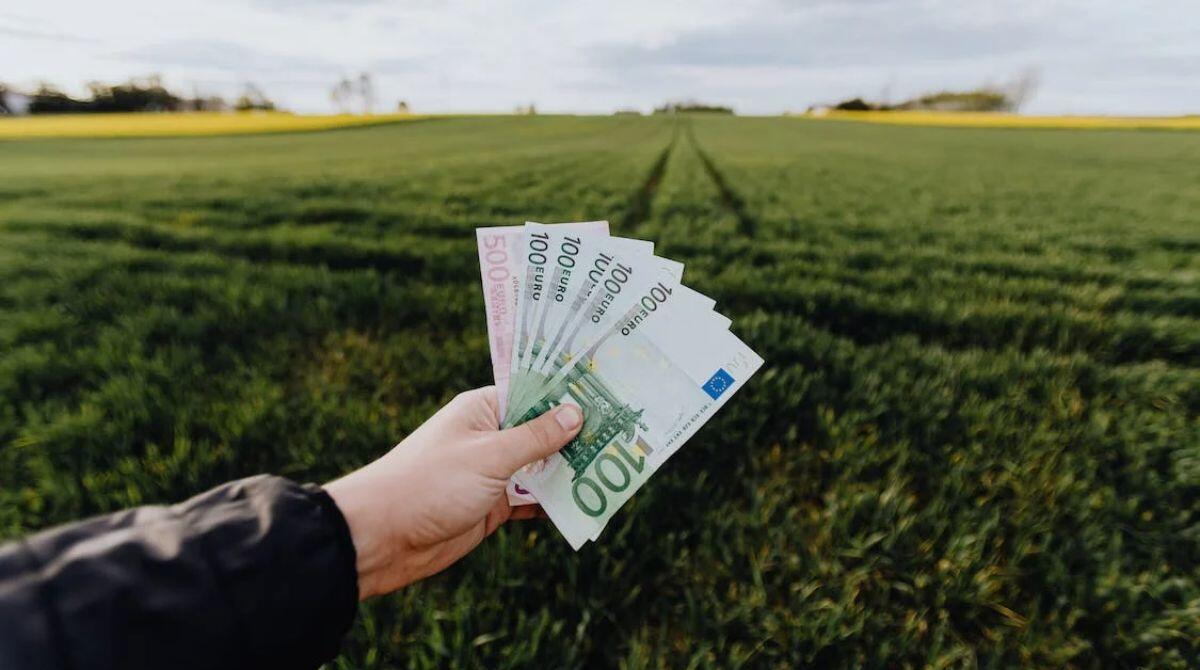 Imprese nelle zone alluvionate: c’è tempo fino al 20 novembre per pagare il diritto annuale - Foto di repertorio
