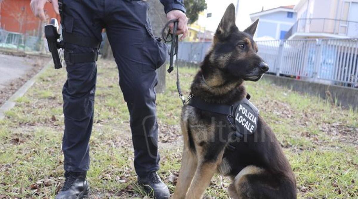 Spaccio di cocaina e marijuana a Viserba e Marebello: denunciate 3 persone - Foto di repertorio