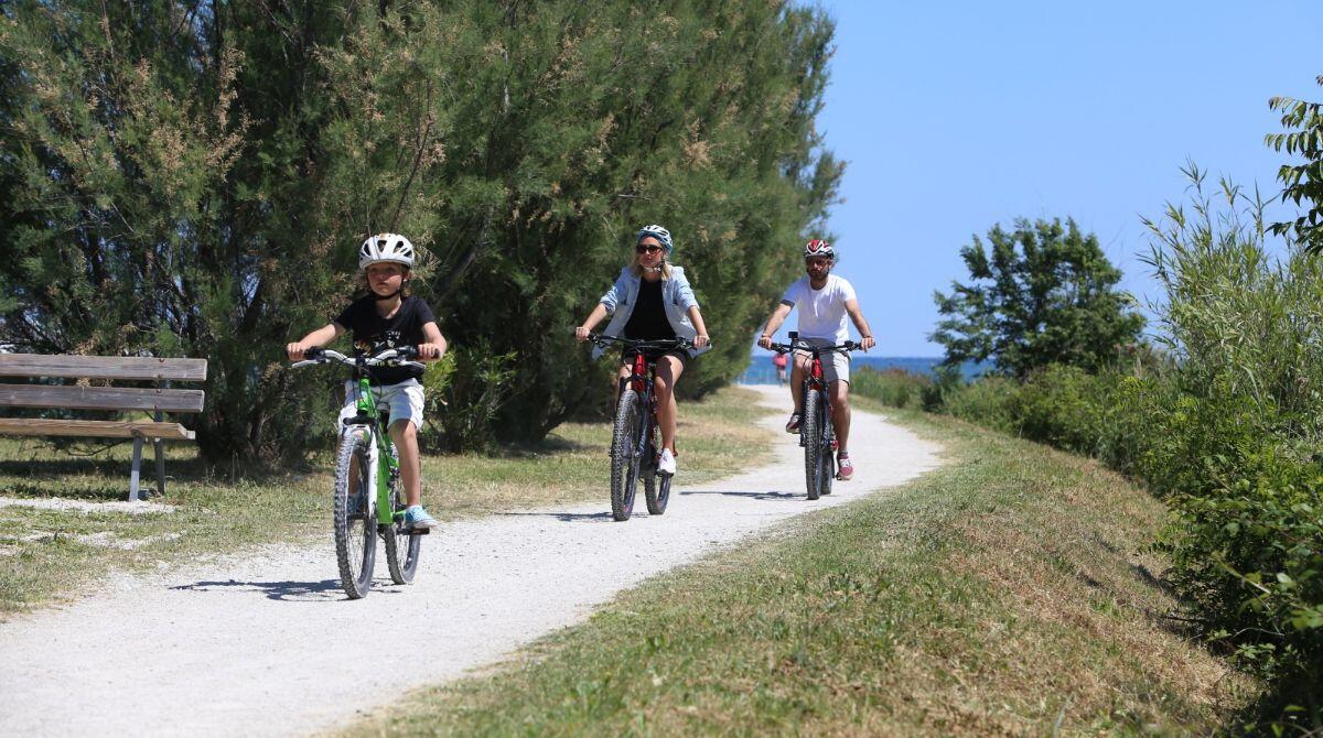 Passione ciclismo, una mostra fotografica celebra i campioni all'Italian Bike Festival - 