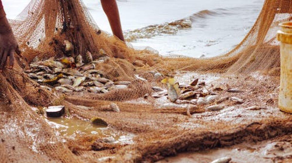 Stop al fermo pesca, torna pesce fresco in Adriatico -