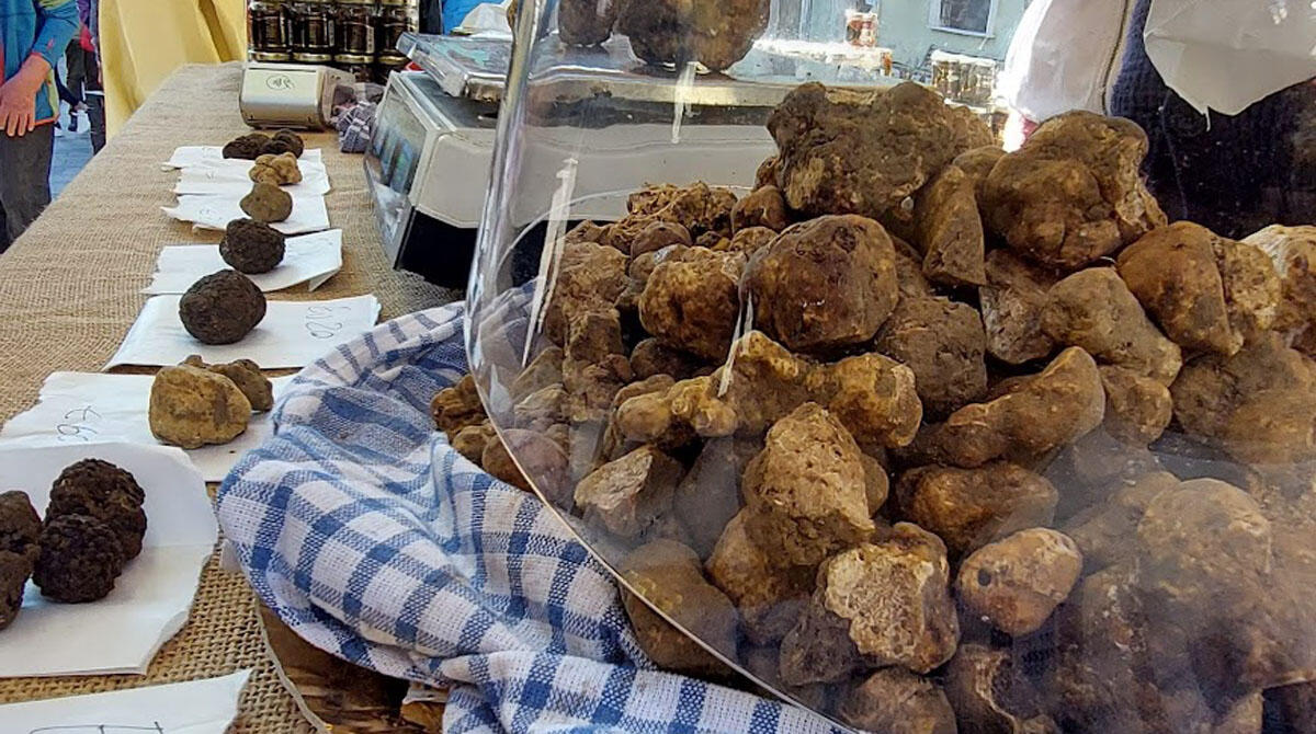 Fiera del Tartufo di Sant'Agata: Bonaccini dà forfait all'inaugurazione, ma c'è l'assessore Corsini -