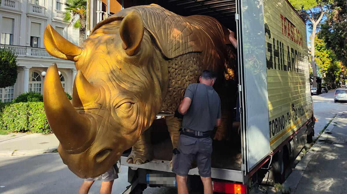 Rina se ne va (ma tornerà): il rinoceronte dorato vola a Parigi per la mostra dedicata a Fellini - Il rinoceronte Rina da Rimini caricato per il trasporto