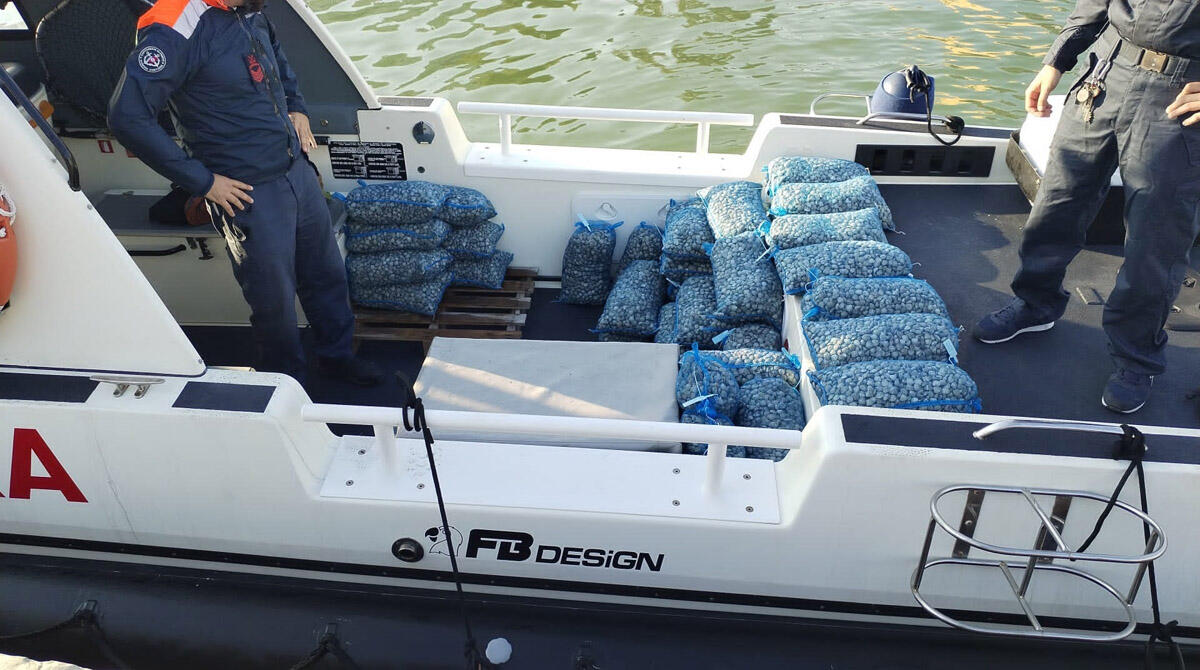 Pesca irregolare vicino alla costa di Bellaria, scatta sequestro di vongole e sanzione da 3500 euro - Le vongole sequestrate