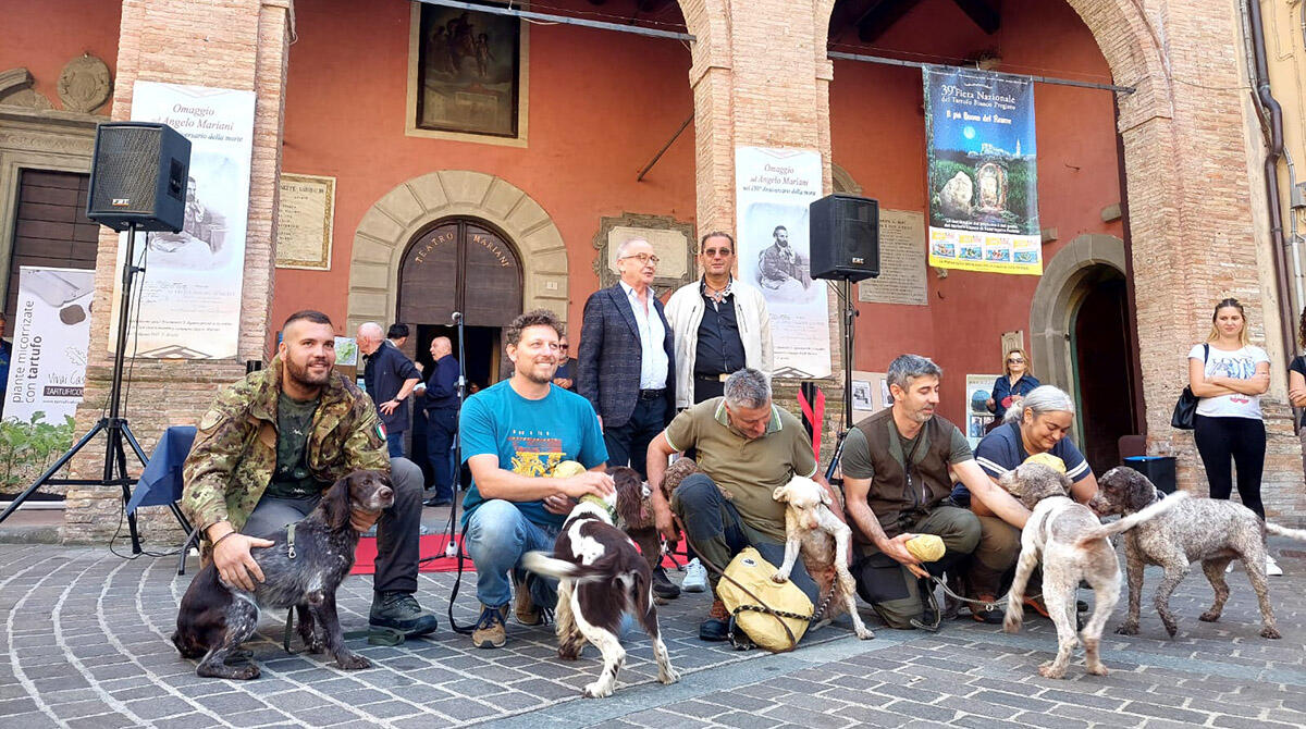 Caccia al tartufo, cani in gara, vince Jolie: ne trova 3 in 36 secondi - Cani e padroni in gara alla 39esima edizione della Fiera Nazionale del Tartufo Bianco pregiato di Sant'Agata Feltria