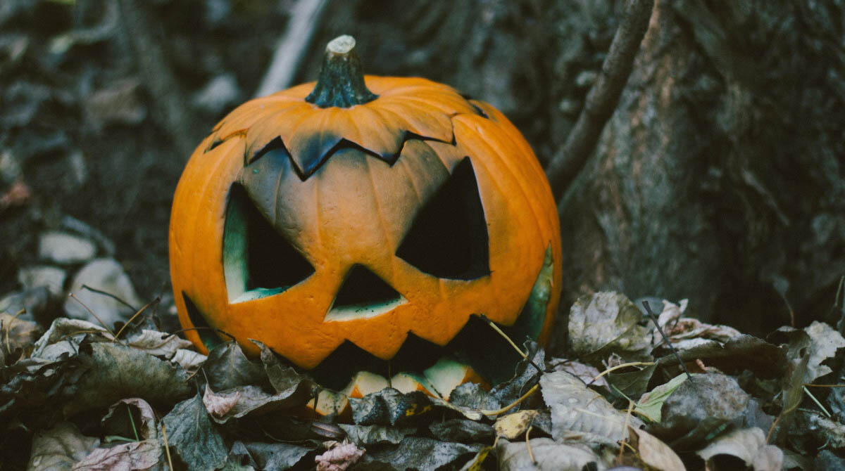 Halloween, gli eventi di Pennabilli: tornano "Le stanze dell'orrore" - Halloween - repertorio