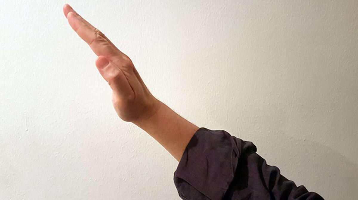 Saluto fascista e insulto razzista ai clienti: ristoratore assolto ma condannato a risarcimento - Saluto fascista REPERTORIO