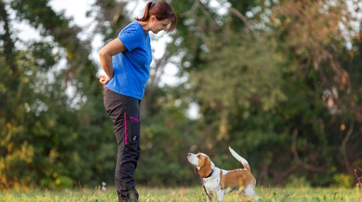 "Puliti ed educati": le buone maniere per cani e padroni, se ne parla a Riccione - Serena Giorgetti educatrice cinofila