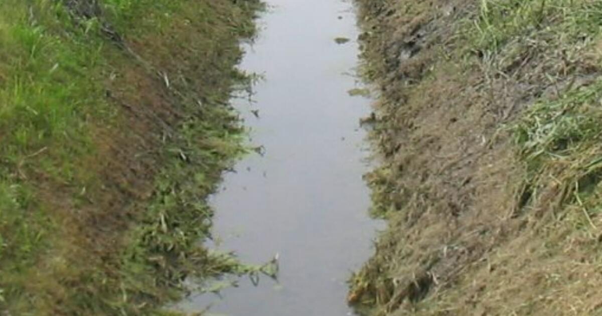Prevenzione allagamenti, il Comune di Rimini: "Massima attenzione nella pulizia dei fossi" - Foto di repertorio