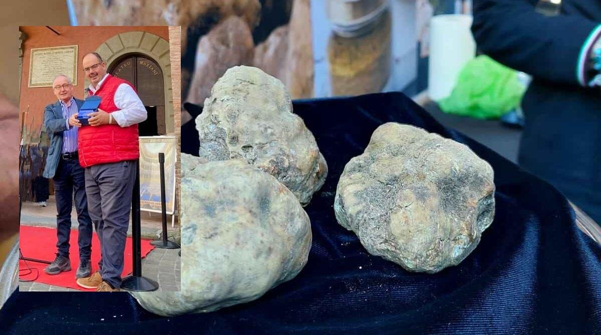Sant'Agata, Marini di Acqualagna "sbanca" la gara del miglior tartufo - Nel riquadro la premiazione del sig. Marini
