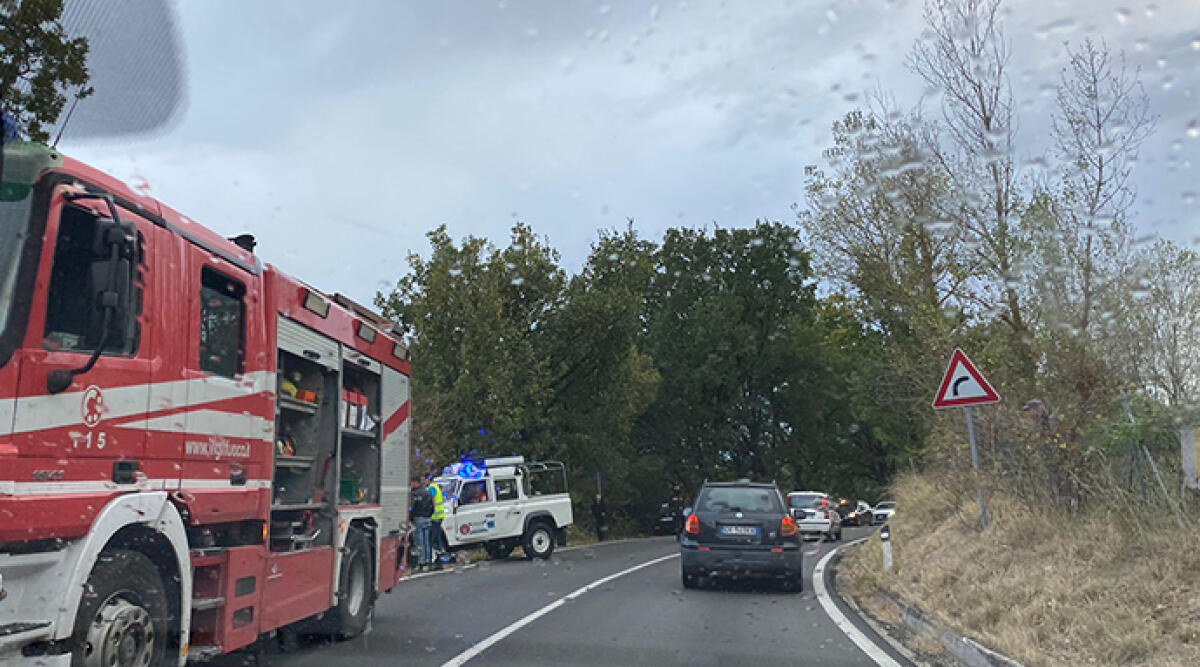 Invade la corsia opposta e centra una pianta, sfiorata tragedia sulla Marecchiese - Il luogo dell'incidente