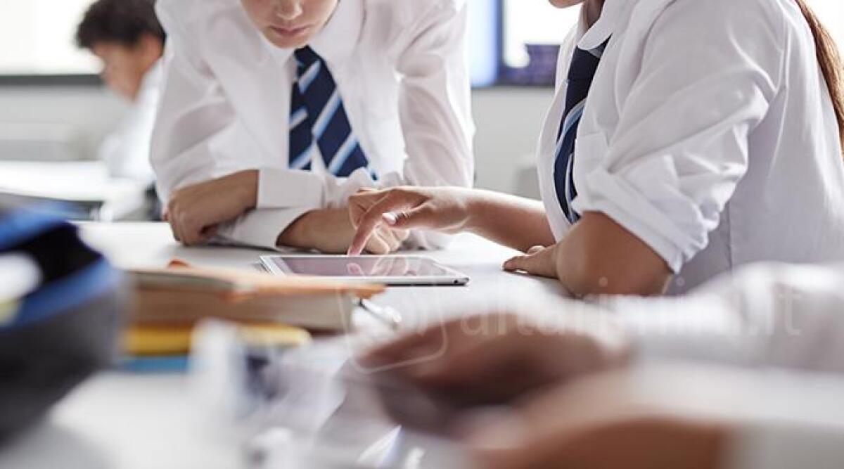 Attrarre talenti a Rimini, dalla Regione 176mila euro per servizi informativi specifici - Studenti universitari