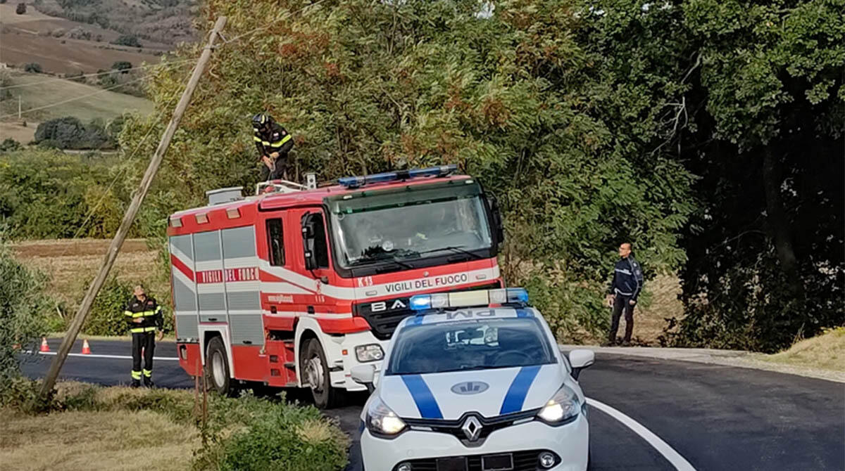 Valmarecchia colpita dal forte vento: allerta per palo telefonico pericolante sulla strada, alberi caduti - L'intervento in via Budrio