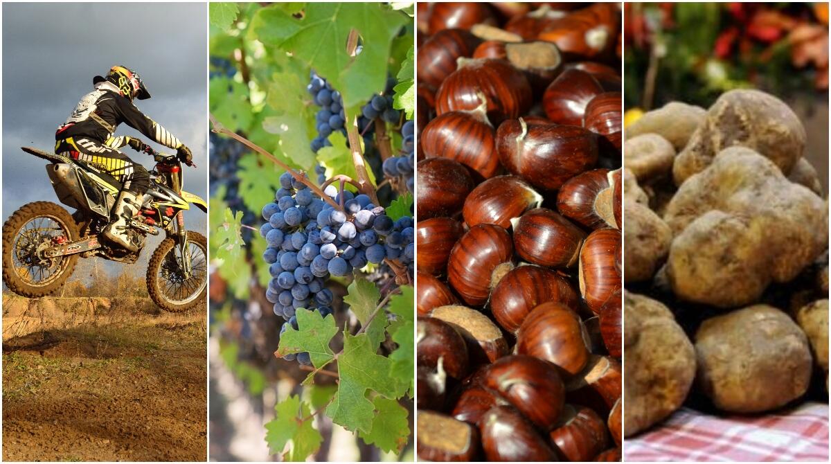 Sagre e Fiere del weekend: da Sant'Agata Feltria a Urbino, passando per Novafeltria e Pergola - Scopri gli appuntamenti del weekend 6-8 ottobre