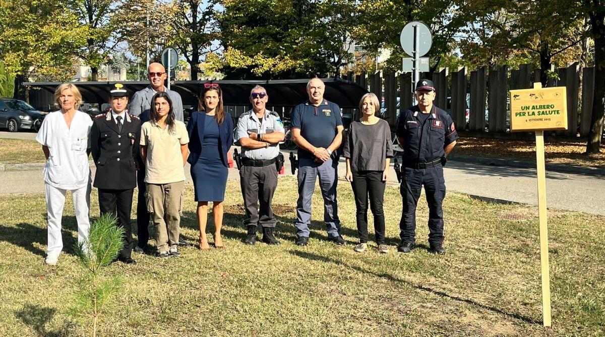 In ospedale a Rimini arriva l'"Albero per la salute", progetto nazionale per l'ambiente - La presentazione del progetto in ospedale a Rimini