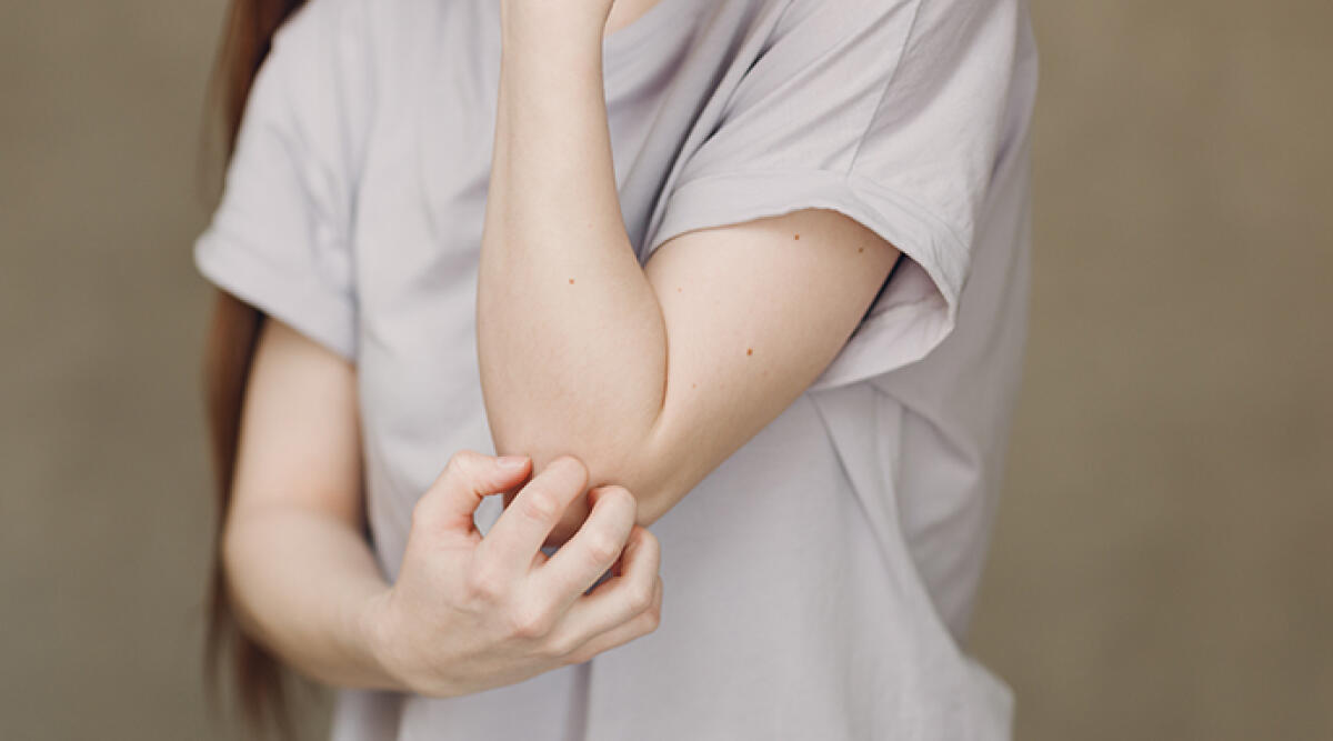 Allarme scabbia nella scuola di Riccione: preoccupazione tra i genitori - Un bambino infetto nella Scuola Primaria, foto di repertorio