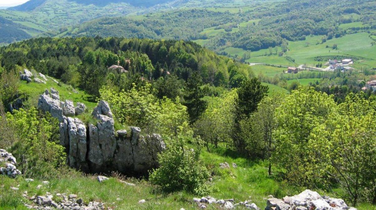 Percorsi più accessibili per i disabili motori: inaugurazione di un sentiero speciale a Carpegna - Una parte del parco - immagine dal sito del Parco Sasso Simone e Simoncello