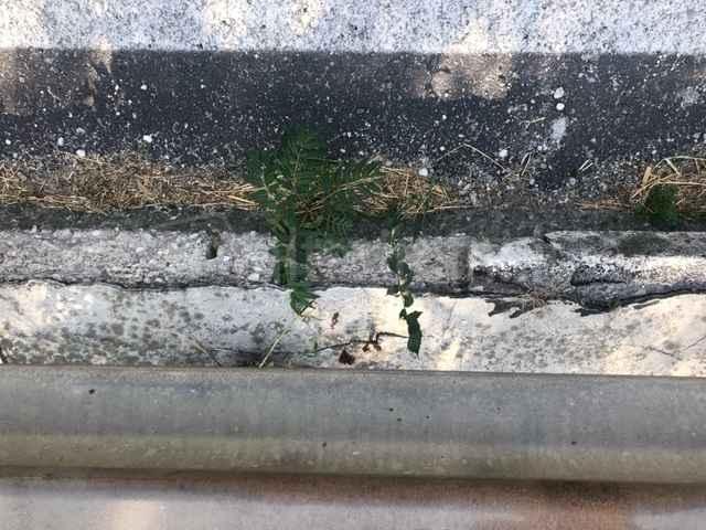 Ponte di Torello, particolare del guardrail