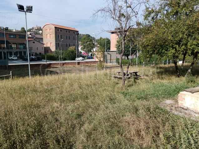 Il giardino come era prima…