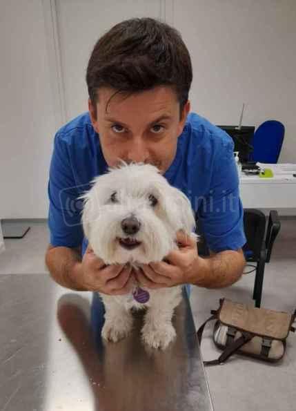 Il veterinario Giuseppe Montanari con un piccolo amico