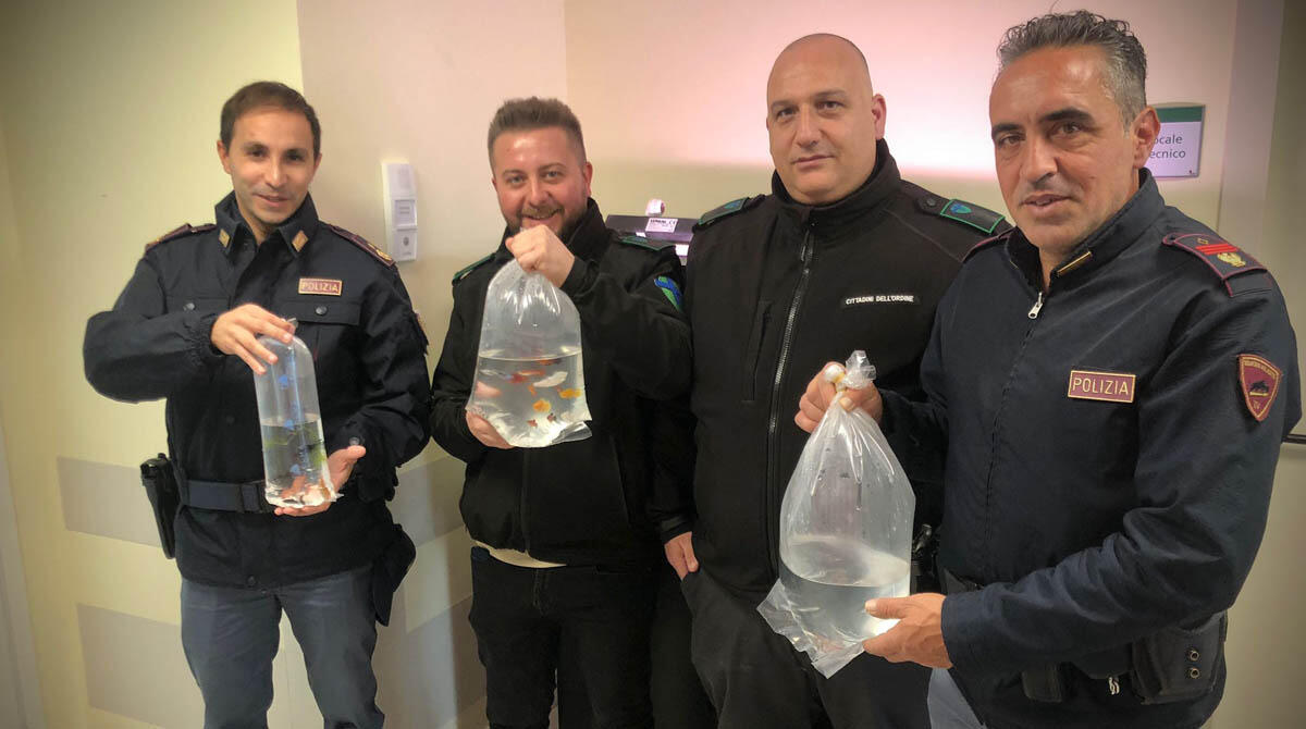 Un sorriso per i bimbi, l'acquario dell'ospedale accoglie nuovi pesci grazie alle Guardie Giurate - 