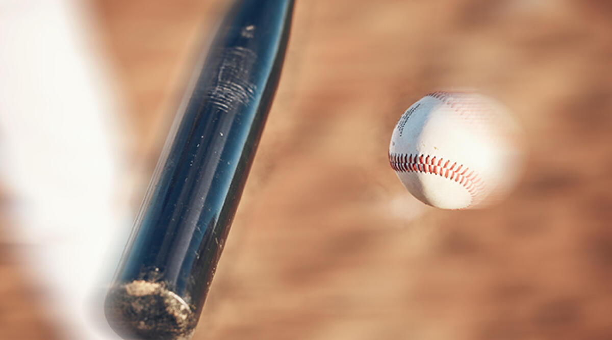 Vittoria legale per Rimini Baseball: proroga concessa per la gestione dello 'Stadio dei Pirati' - Proroga ottenuta per lo Stadio dei Pirati fino al 2024