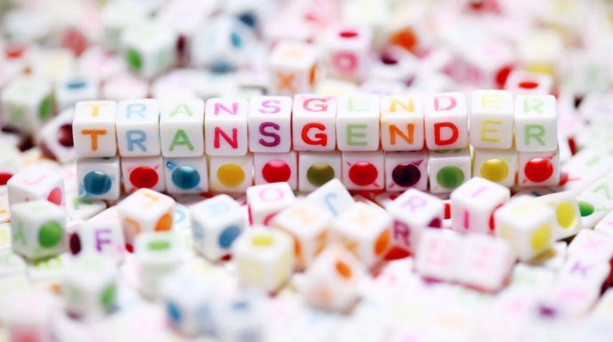 Transgender Day: una serata a Rimini in Cineteca contro l'odio transfobico -