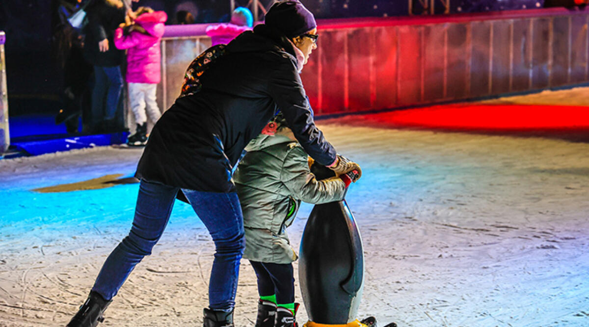 Al via Misano On Ice: sabato pomeriggio l'inaugurazione della pista di pattinaggio e l'accensione delle luminarie natalizie - Pista su ghiaccio