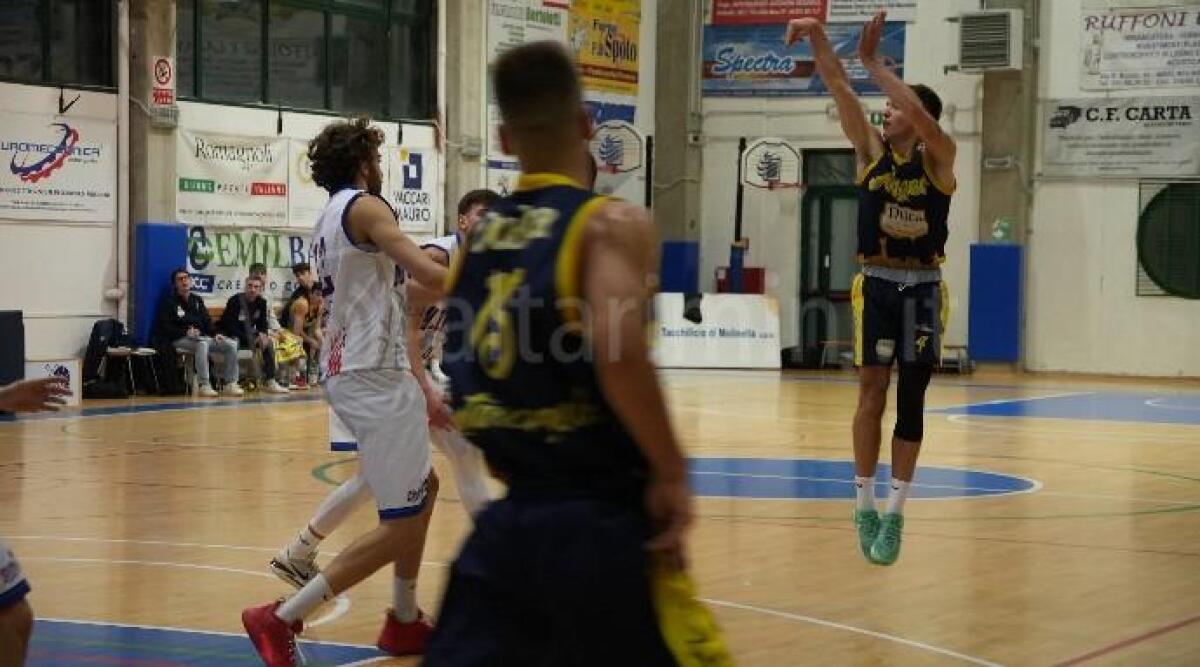 Basket C, senza Conti la Dulca Santarcangelo sconfitta a Molinella (81-68) - 