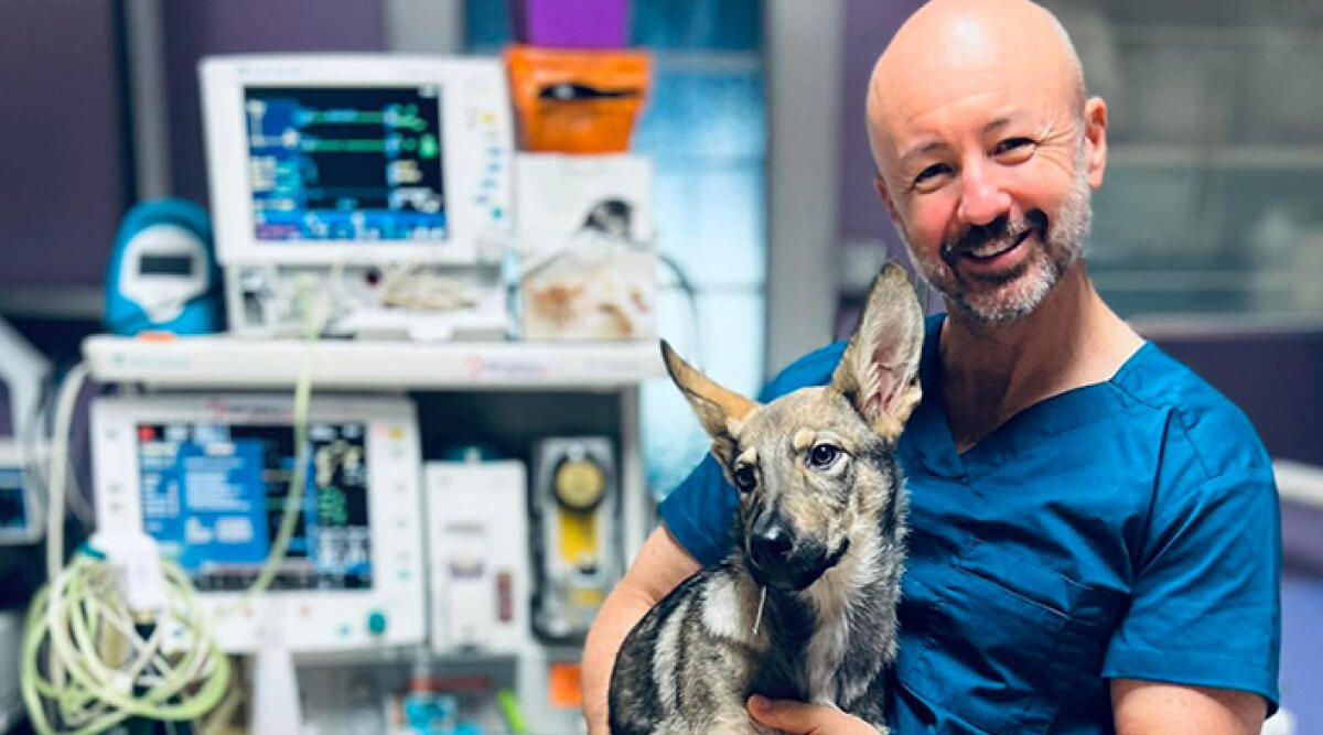 A Bellaria si inaugura la clinica veterinaria di eccellenza di Sergio Abbondanza - Sergio abbondanza nella nuova clinica di Bellaria Igea Marina