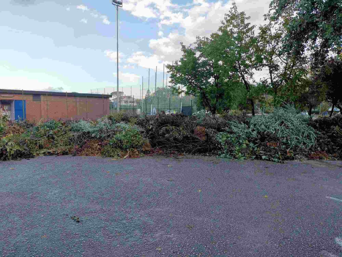Riccione, discarica 'verde' a cielo aperto in via Menaggio. La protesta dei residenti - 