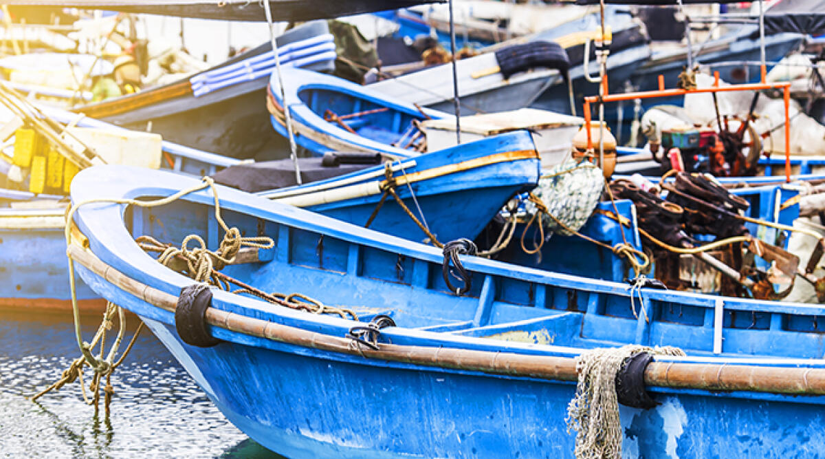 Canocchie in abbondanza: straordinaria pesca dopo la mareggiata - Archivio