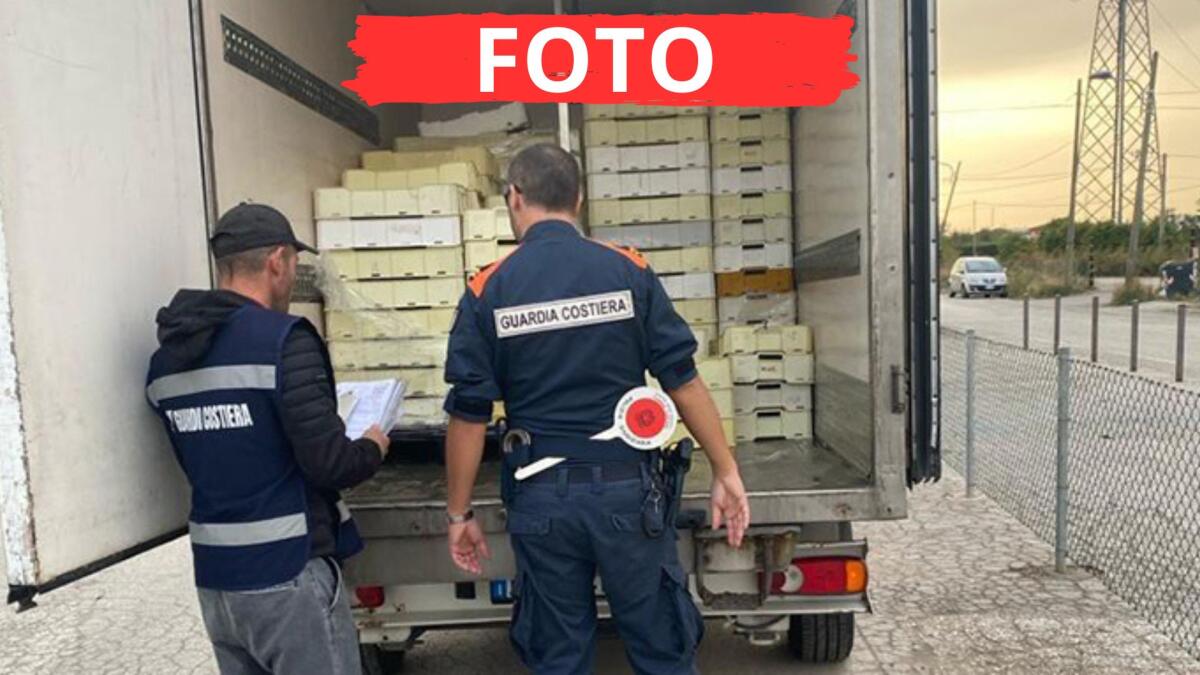 Ventisettemila euro di multe e oltre due quintali di prodotti ittici sequestrati - I controlli dell'operazione Delta