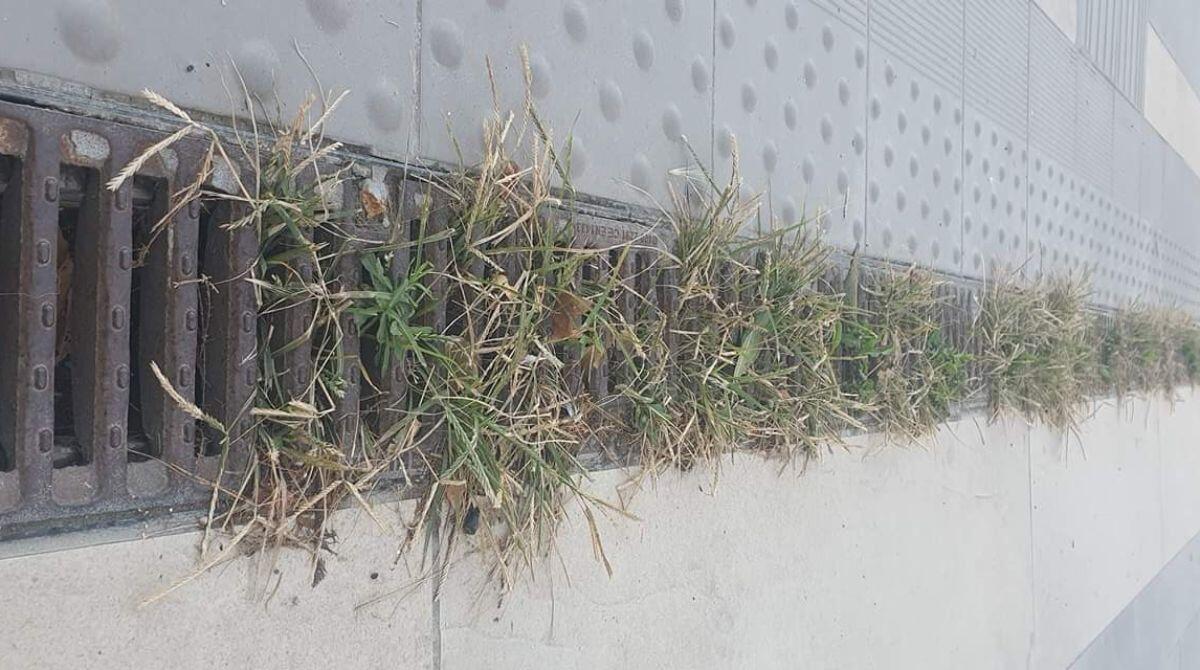 Rimini Nord: caditoie del nuovo lungomare ostruite da sabbia ed immondizia - 