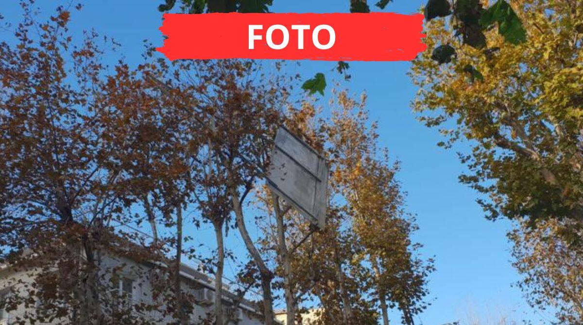 Grosso cartello stradale viene scaraventato via dal vento e rimane incastrato sull'albero - Grosso cartello stradale sospeso sulla strada