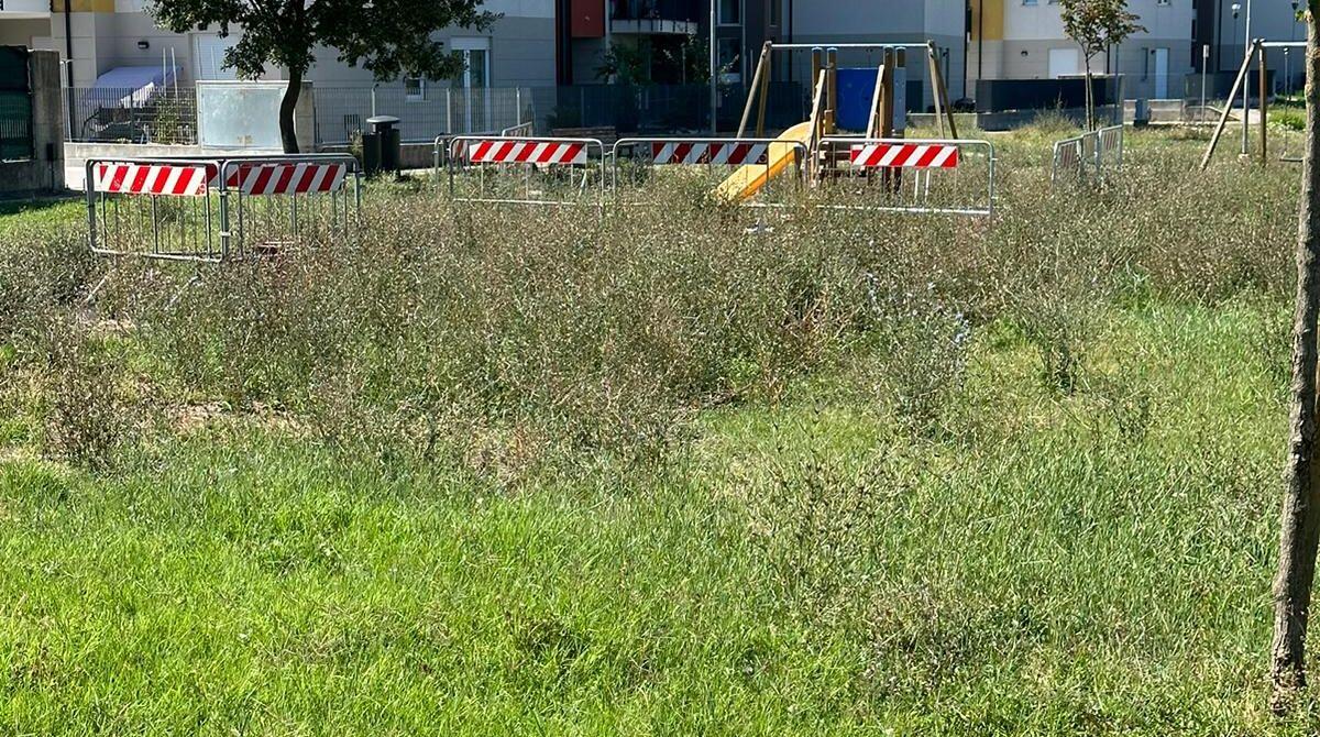 Parco giochi in via Lotti a Viserbella: erba alta e transenne. La segnalazione - L'erba alta nel parco