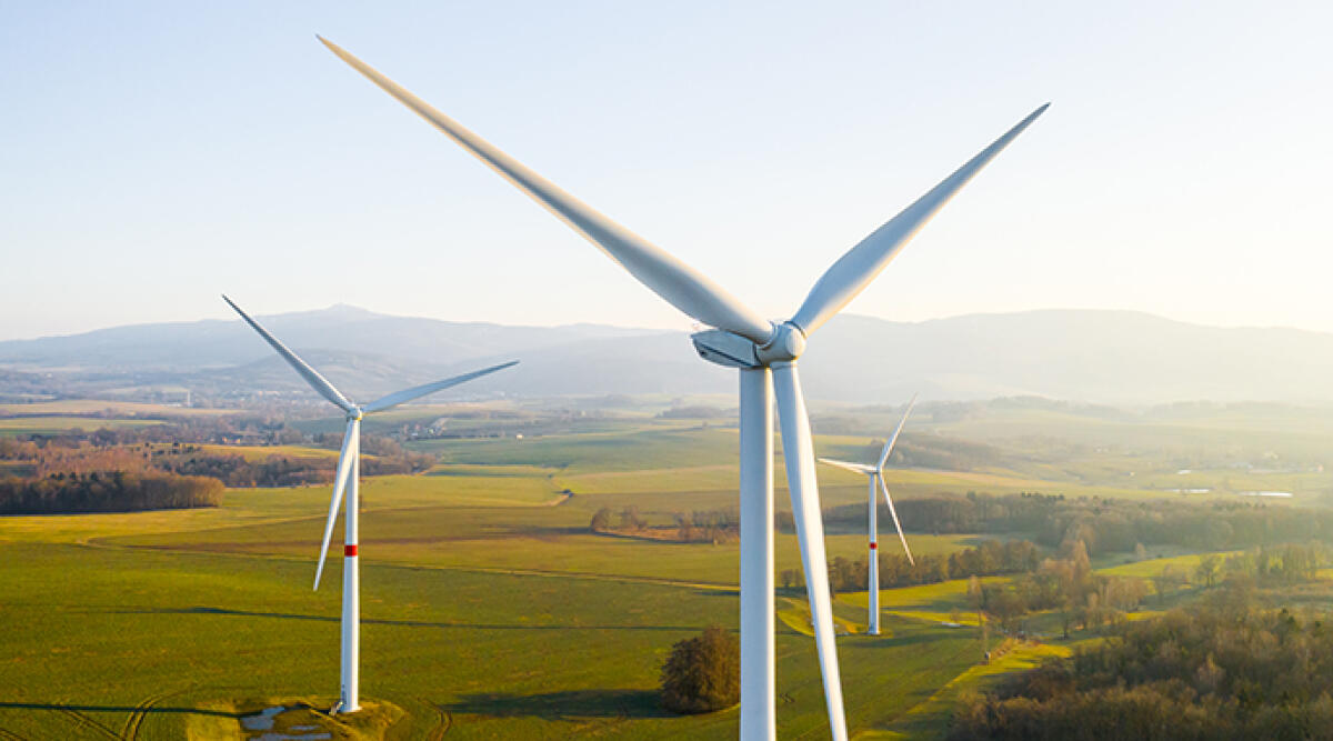 Artisti contro le pale eoliche in Valmarecchia. Successo per l'asta delle loro opere - Foto di repertorio