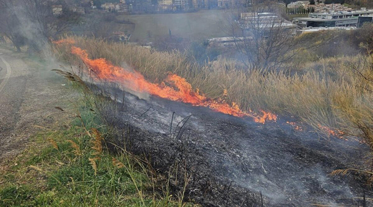 Vegetazione in fiamme a Galazzano, nessun danno riportato - Foto dal gruppo facebook "San Marino risponde"