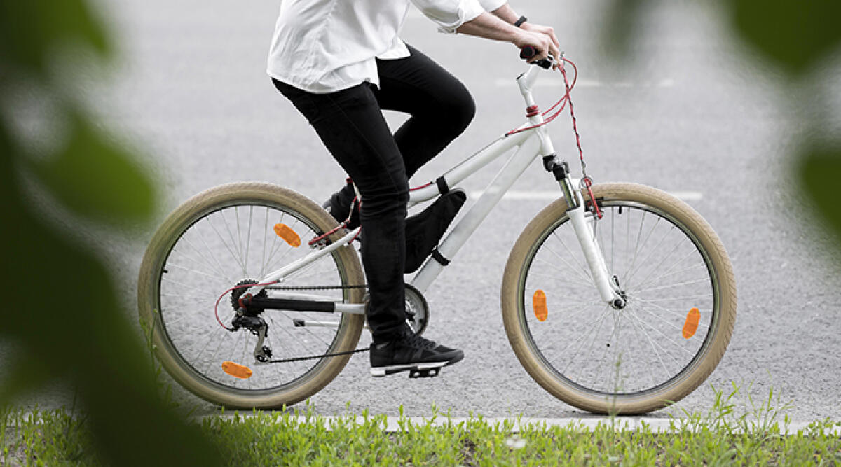 Perla Verde ciclabile, nuove piste per le due ruote a Riccione -