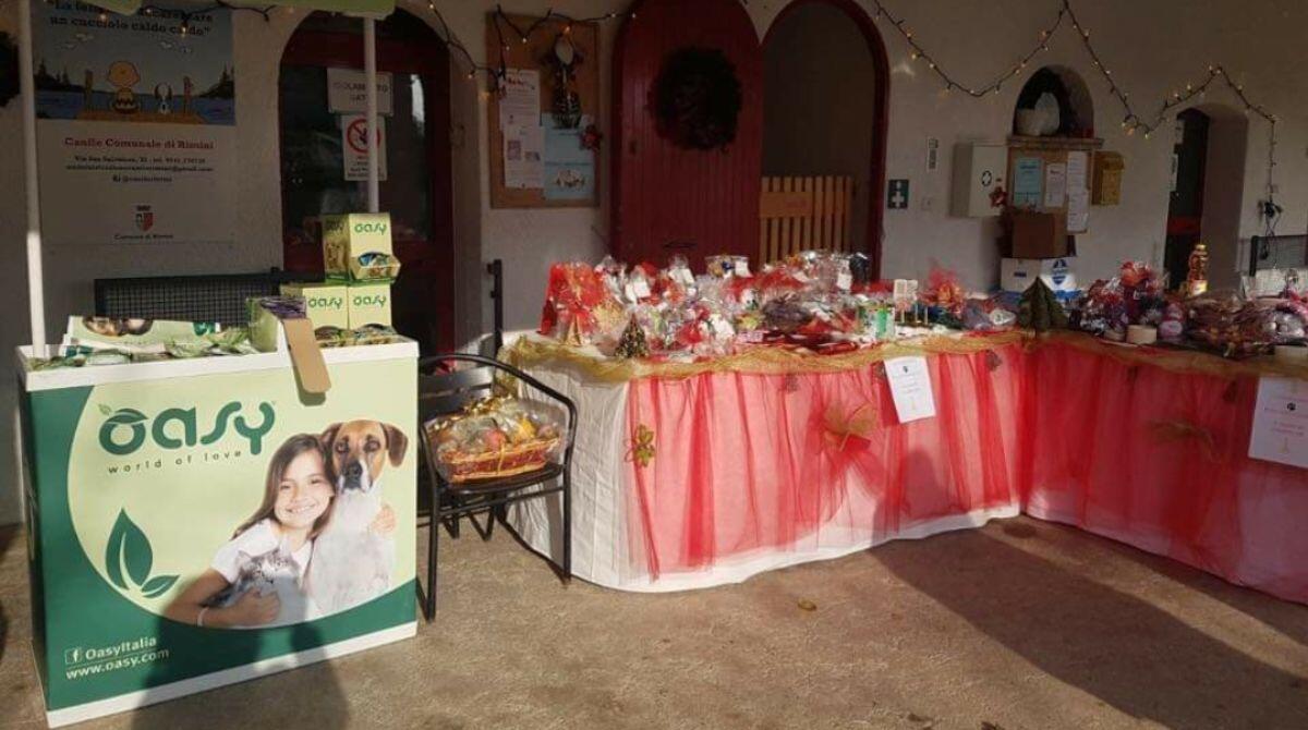 Canile Cerni Rimini: una giornata per Eddy e il microchip day - L'open day 2022