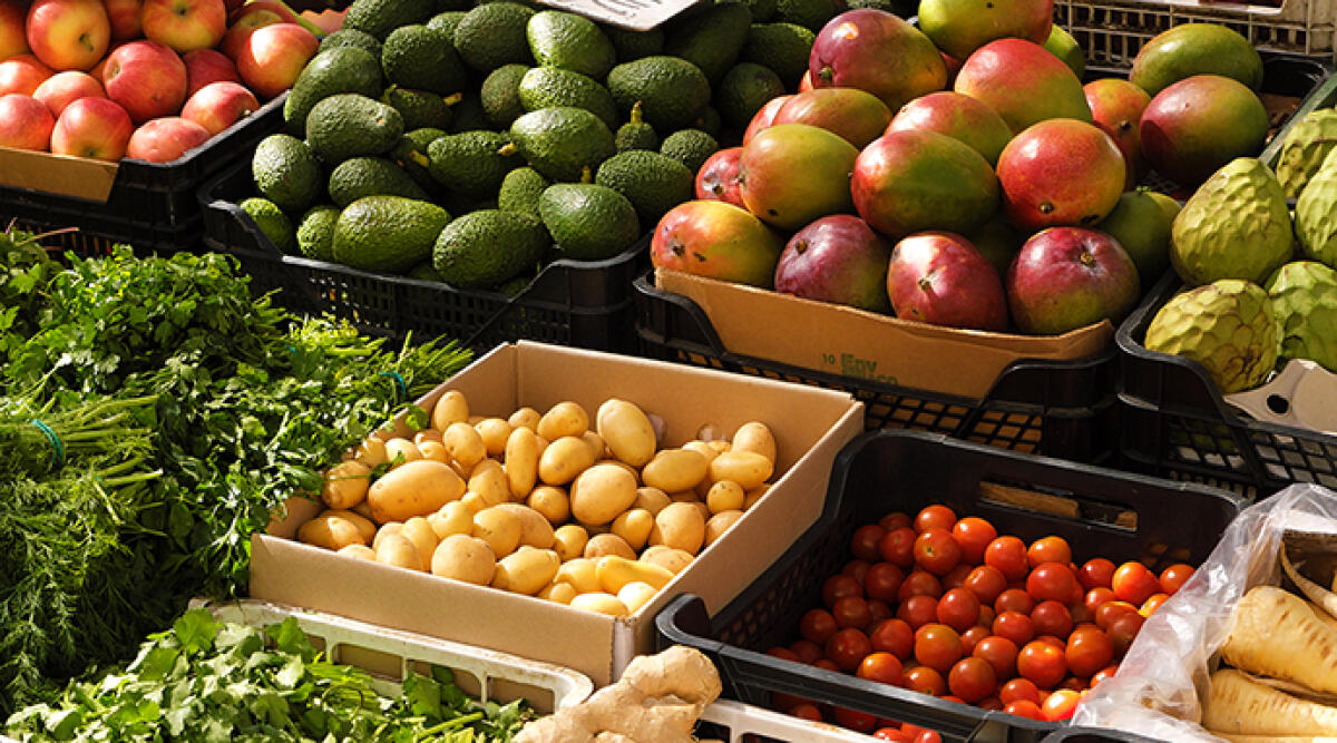 Dalla Regione 600.000 euro a sostegno mercati agroalimentari - Archivio