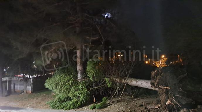 Albero caduto sulla caserma della Forestale a Sant’Agata Feltria