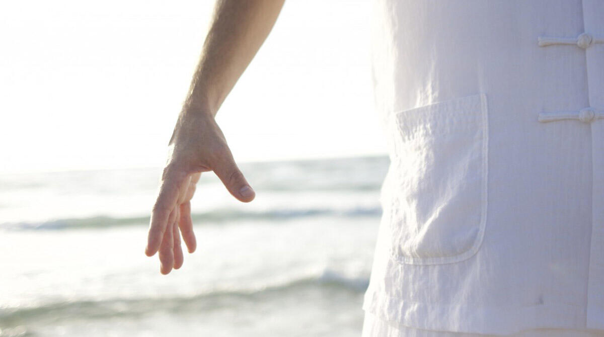 Fratellanza e innovazione per il Kung Fu, raduno internazionale a Rimini - 